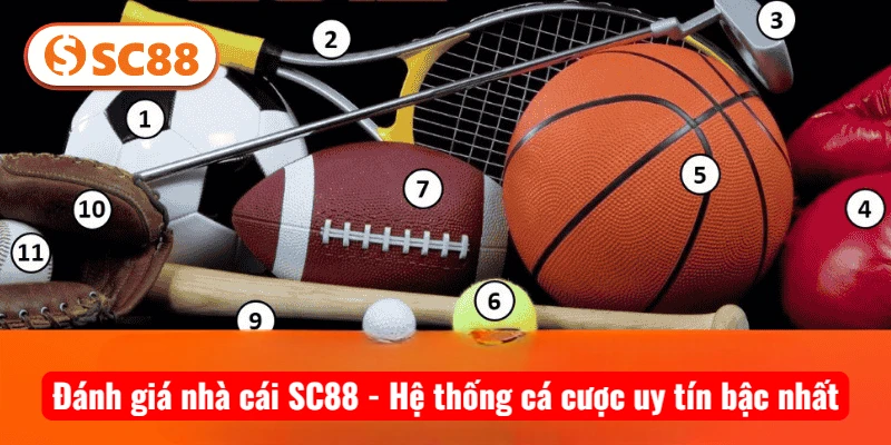 Đánh giá nhà cái SC88 - Hệ thống cá cược uy tín bậc nhất